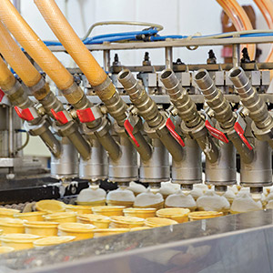 masi_ingegneria_processi_alimentari